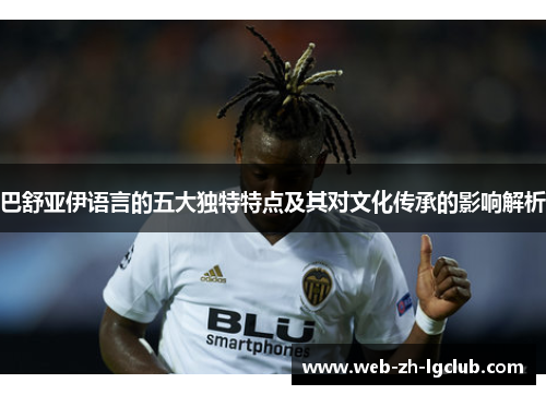 巴舒亚伊语言的五大独特特点及其对文化传承的影响解析