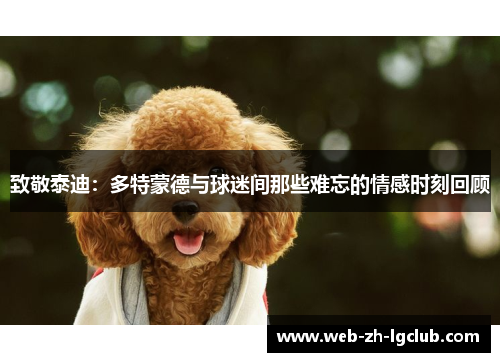 致敬泰迪：多特蒙德与球迷间那些难忘的情感时刻回顾