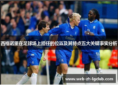 西格诺里在足球场上担任的位置及其特点五大关键事实分析 西格诺里在足球场上担任的位置及其特点五大关键事实分析